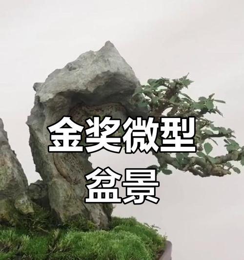 微观盆景制作方法有哪些？