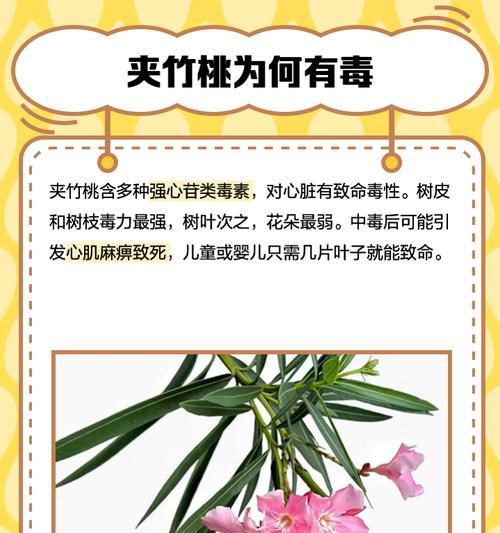 夹竹桃有哪些用途？夹竹桃的毒性如何处理？