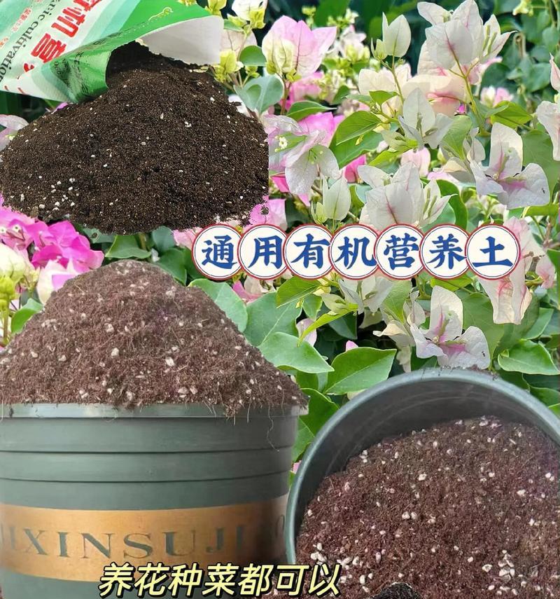 种植花卉推荐使用哪种土壤？