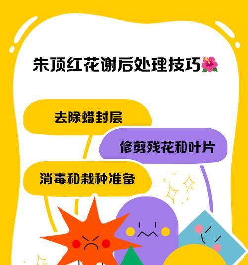 瓦松开花后应该怎么办？