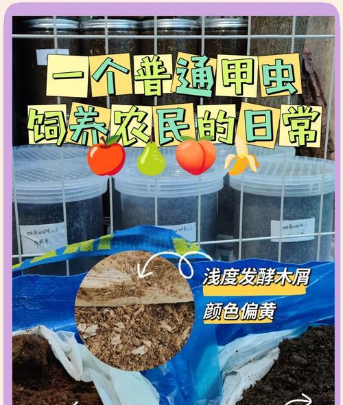 腐殖土的制作步骤是什么？如何自制优质腐殖土？