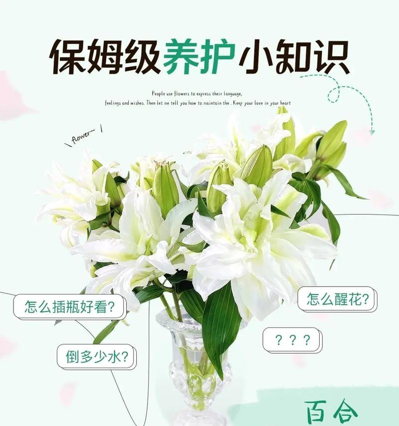 切花保鲜方法有哪些？如何延长切花的观赏期？