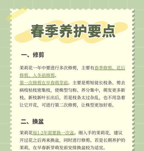 冬天茉莉的养护技巧有哪些？