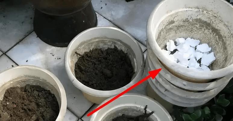 怎么沤肥？家庭自制有机肥料的正确步骤是什么？