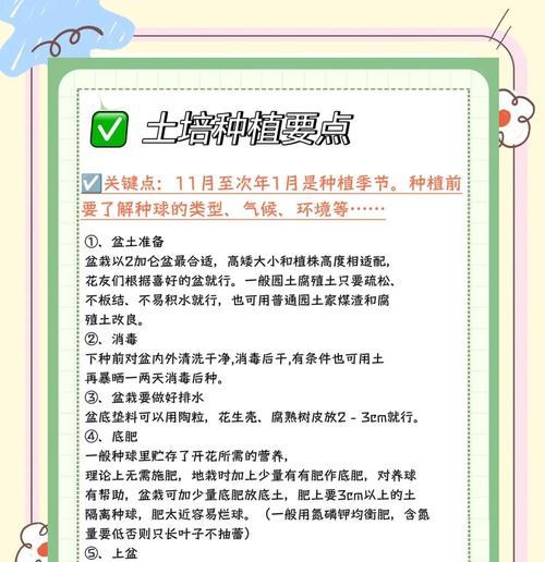 郁金香种植的正确步骤和要点是什么？