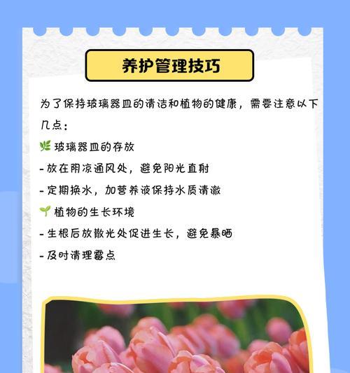 郁金香种植的正确步骤和要点是什么？