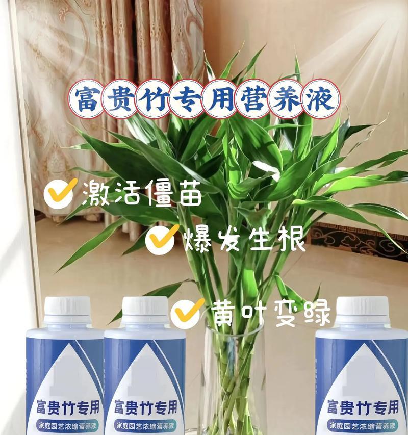 盆栽营养液的正确使用方法是什么？
