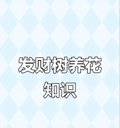 发财树保养的秘诀是什么？