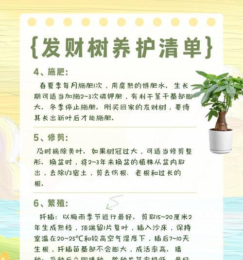 发财树保养的秘诀是什么？