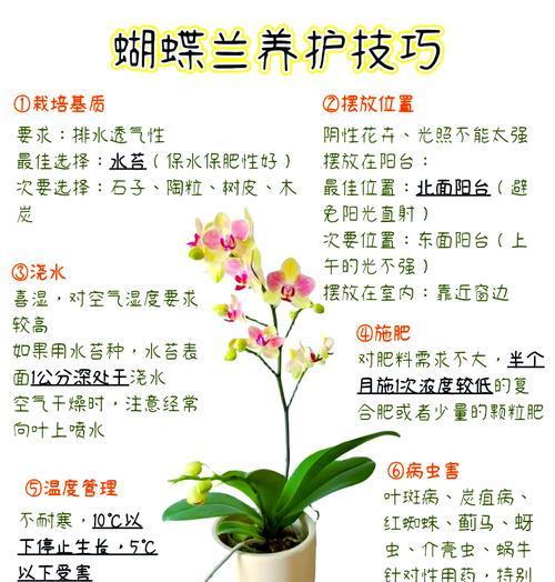 野生兰草的正确养护方法是什么？