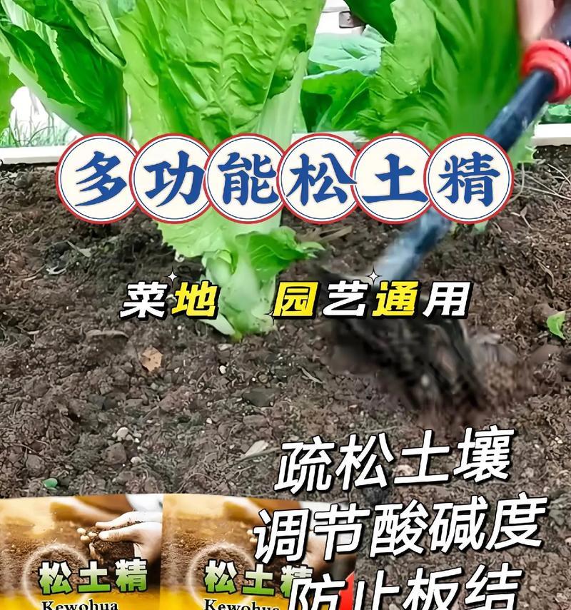 植物松土的最佳时机是什么时候？