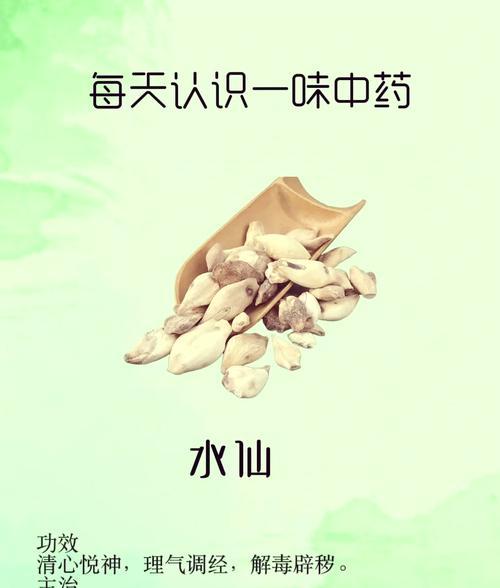 水仙烂根的原因及预防措施是什么？