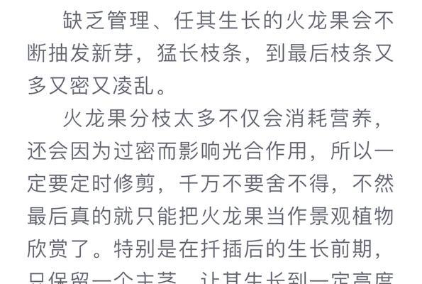 火龙果的种植方法有哪些？如何提高产量？