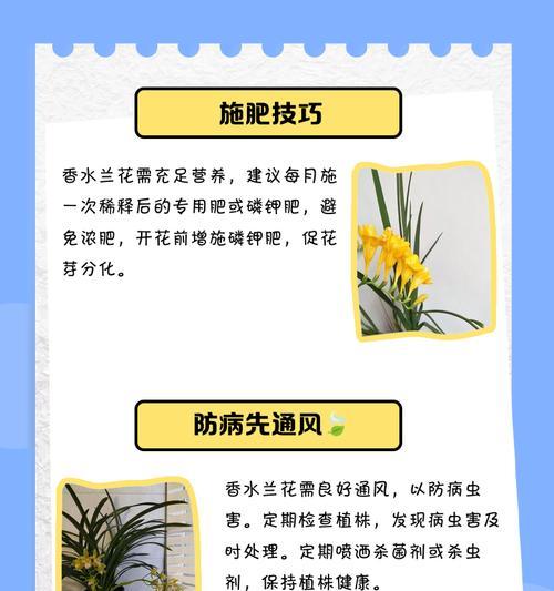 室内兰花养殖技巧有哪些？如何保持兰花的健康状态？