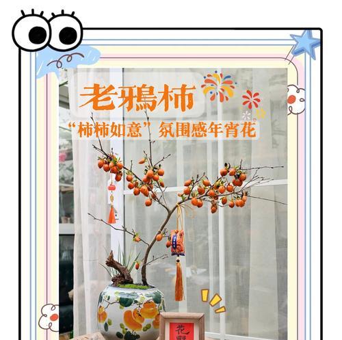 木本盆栽有哪些种类？它们的养护和管理技巧是什么？