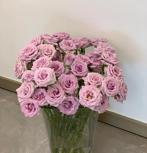 常见鲜花品种大全是什么？如何正确养护这些鲜花？