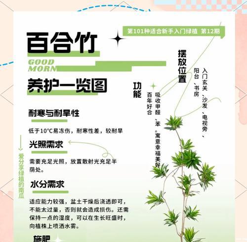 凤凰竹的养殖技巧有哪些？