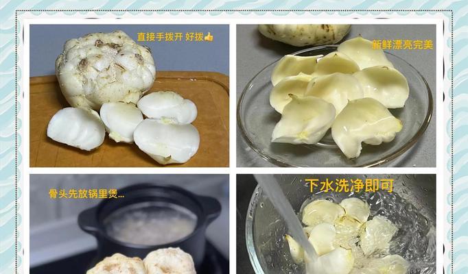 百合花烂根了怎么办？有效防治方法是什么？