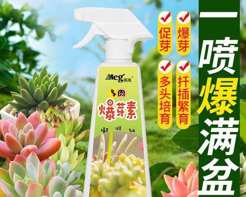 大和锦出侧芽的秘诀是什么？如何促进侧芽生长？