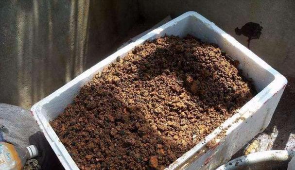 什么是泥炭土？泥炭土的特性和使用方法是什么？