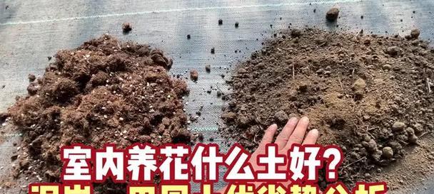 什么是泥炭土？泥炭土的特性和使用方法是什么？
