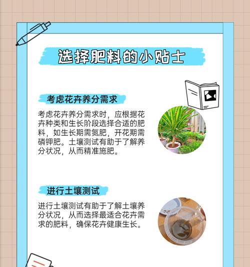 盆栽肥料正确使用方法是什么？