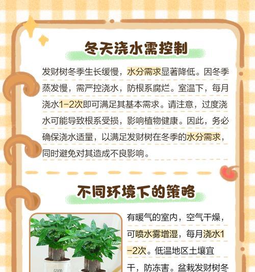 小发财树的正确浇水方法是什么？多久浇一次水？
