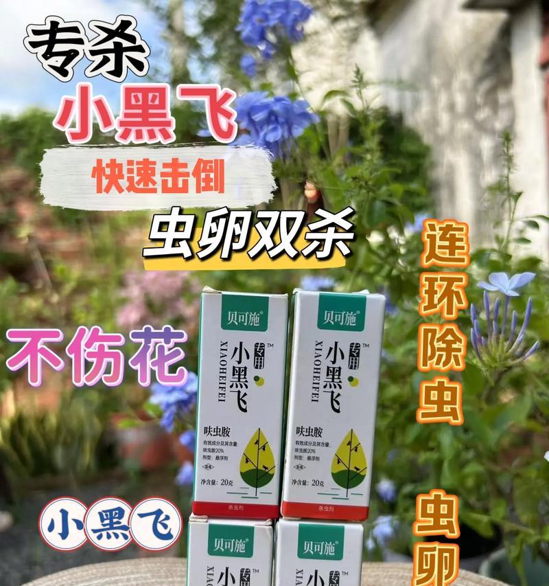 如何处理养花时出现的小黑飞问题？