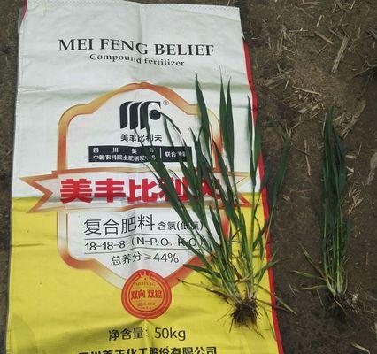 氧肥有哪些？氧肥的种类和使用方法是什么？