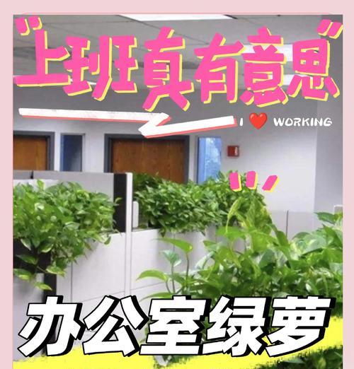 绿萝怎么养？培育绿萝的正确方法是什么？