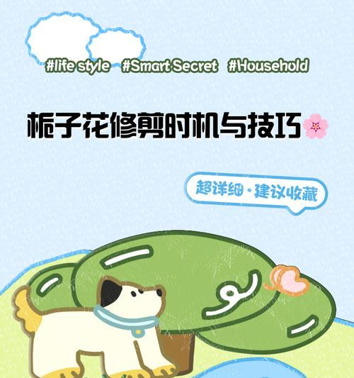 小叶枝子花修剪技巧是什么？