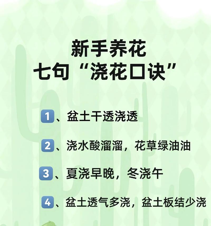 室内花草养护的秘诀是什么？