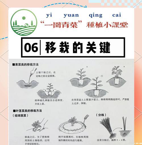 土壤酸碱度的调整方法是什么？如何保证植物的正常生长？