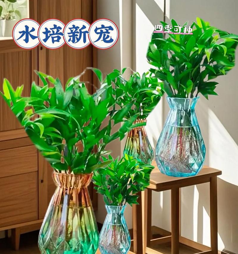 哪些植物具有驱蚊效果？驱蚊植物的选择和使用方法是什么？