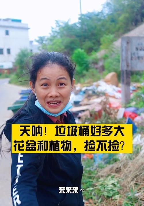 红掌叶子发黑是什么问题导致的？