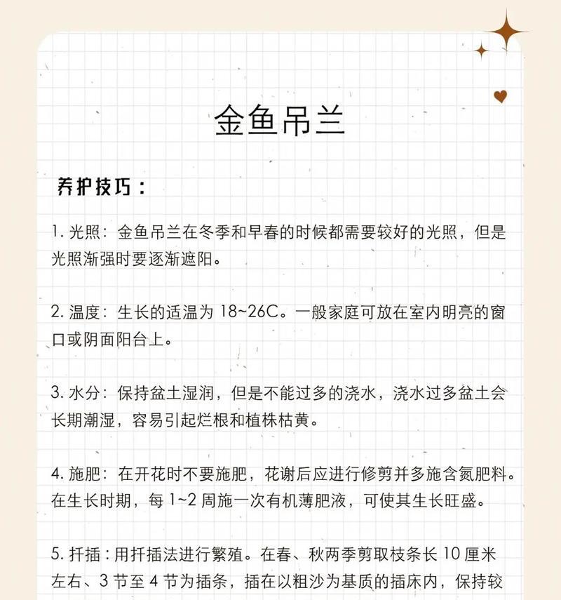 小金鱼吊兰的正确养护方法是什么？