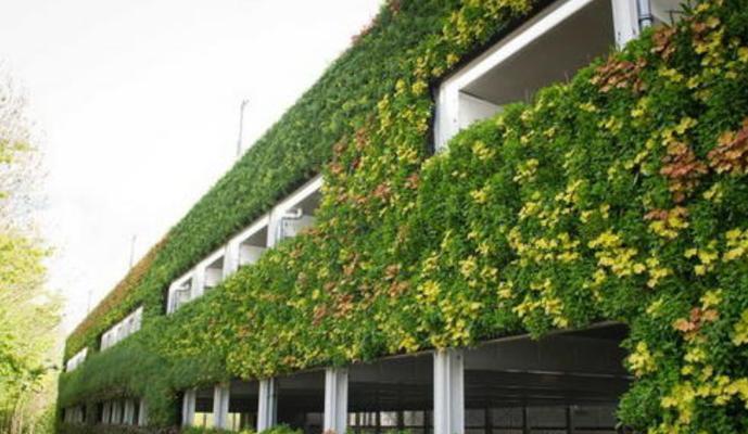立体绿化适合哪些植物品种？立体绿化植物品种的选择标准是什么？