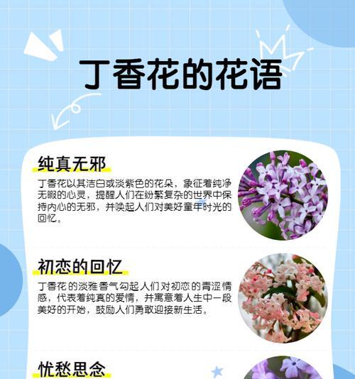 火星兔子繁殖方式有哪些？繁殖过程中应注意什么？