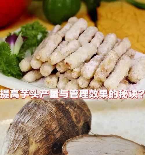 紫芋头有哪些品种？紫芋头品种的种植方法是什么？