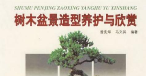 盆景树木有哪些品种？盆景树木品种的选择和养护方法是什么？