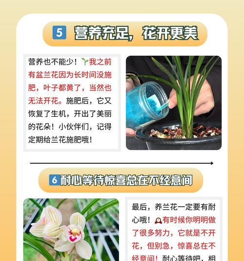 兰花品种如何识别？兰花品种识别的方法有哪些？