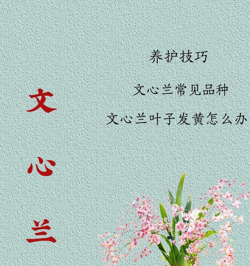 兰花品种如何识别？兰花品种识别的方法有哪些？