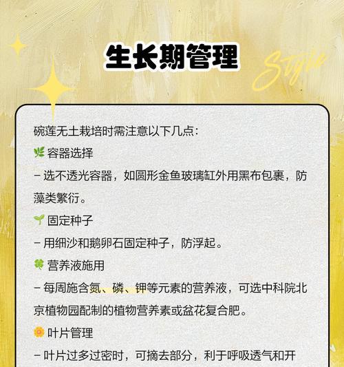 碗莲培育技巧有哪些？怎样才能成功种植？