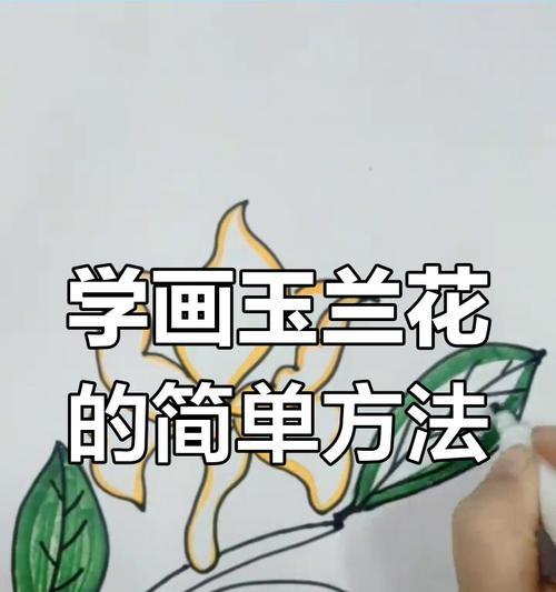 玉兰花繁殖的正确步骤是什么？