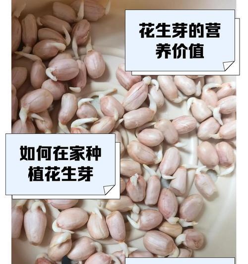 什么是花芽？花芽的形成和重要性是什么？