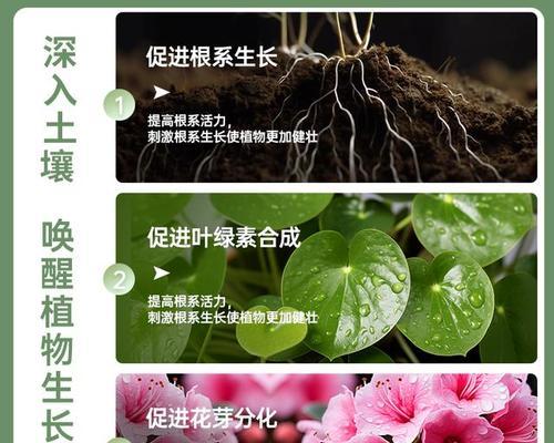 花的肥料有哪些类型？如何正确使用花卉肥料？
