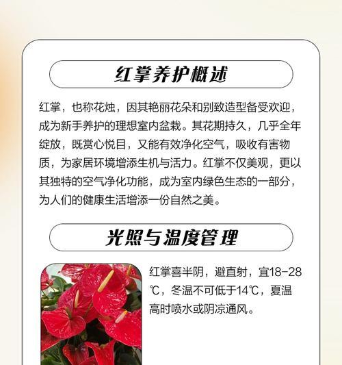 红掌的养殖方法是什么？