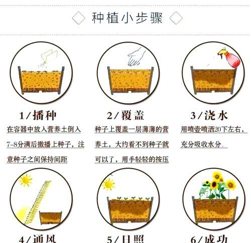 太阳花种植技巧有哪些？如何保持花开不断？