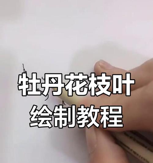 牡丹枝条的正确养殖方法是什么？