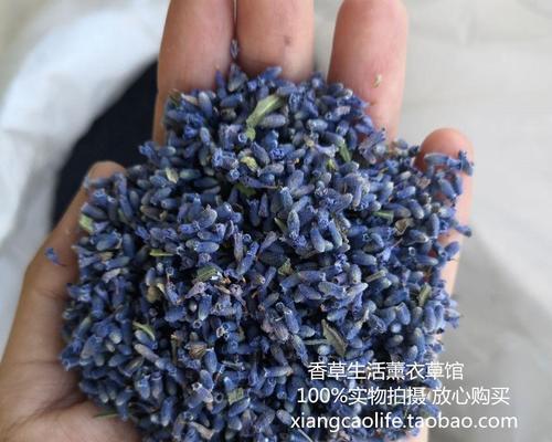 薰衣草怎么做干花？简单步骤教你制作！